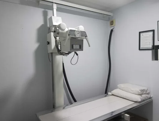 Consultorio traumatólogo y ortopedista en Zapopan 11